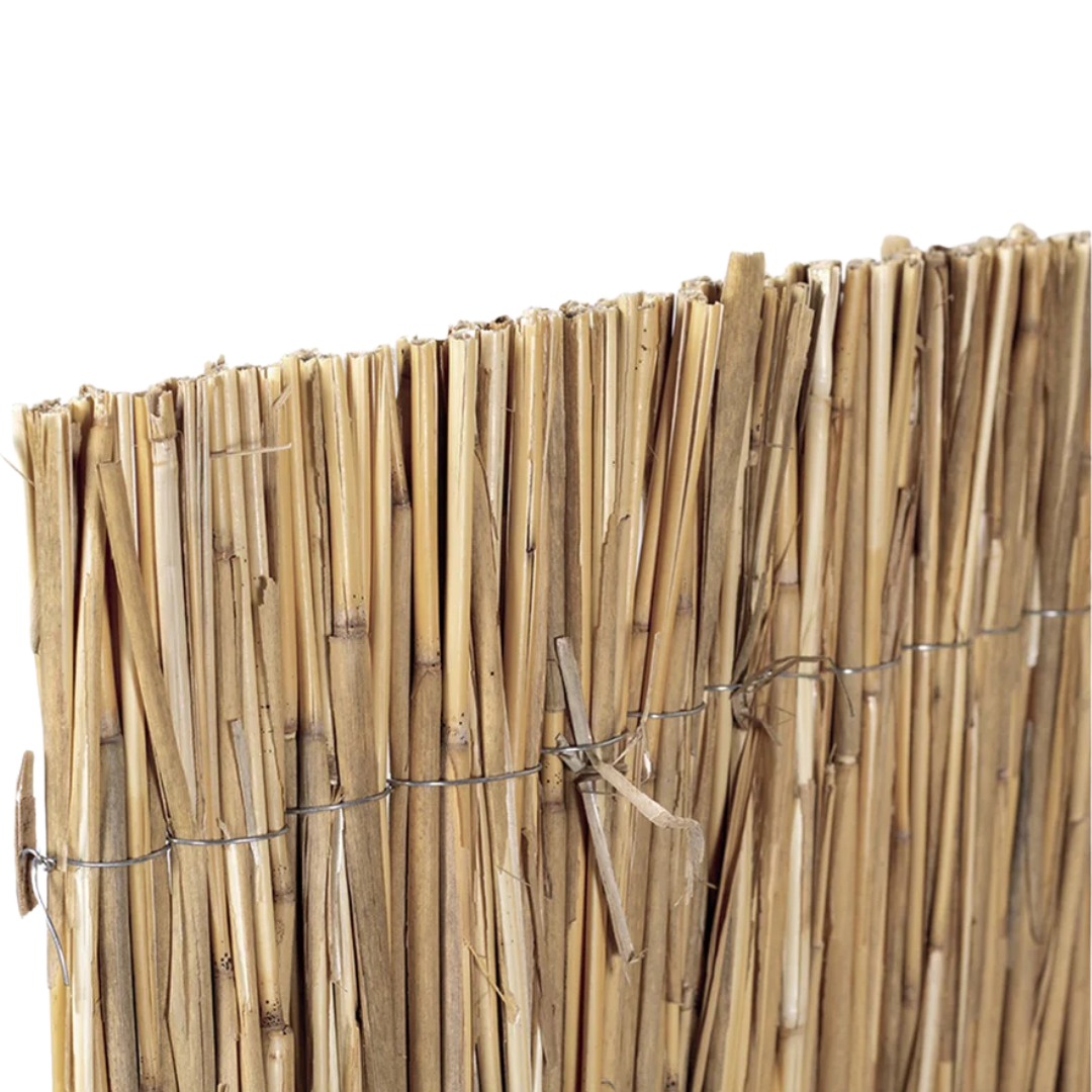Bambú Pelado Multi Varilla Reed Multi 1,5x5 M Nortene_1