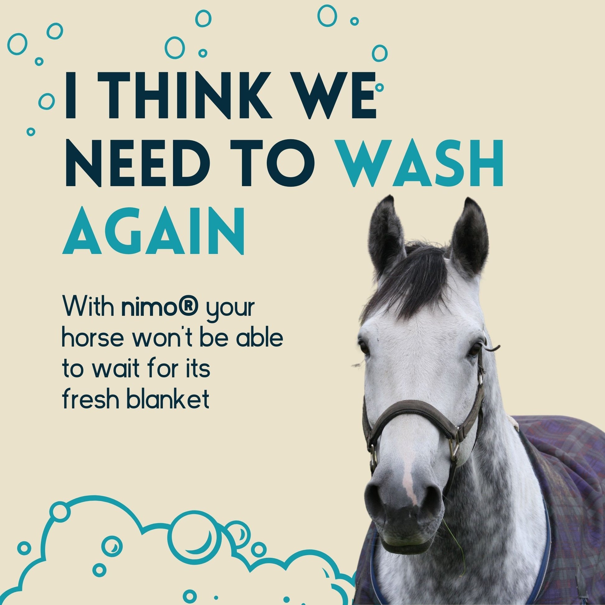 Detergente Para Mantas De Caballo - Nimo - 10 L_1