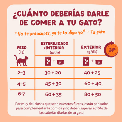 Filetes de pollo para gatos Edgard &amp; Cooper 70 g