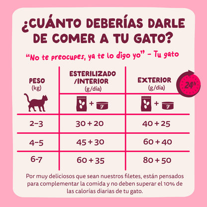 Filetes de pollo con gambas para gatos Edgard &amp; Cooper 70 g