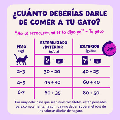 Filetes de salmón y atún para gatos Edgard &amp; Cooper 70 g