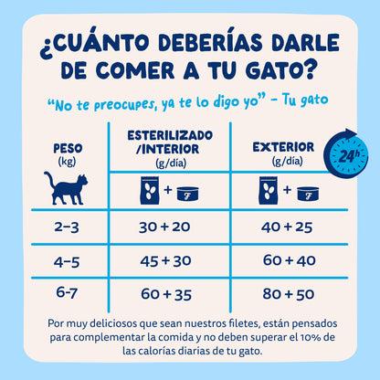 Filetes de atún para gatos Edgard &amp; Cooper 70 g