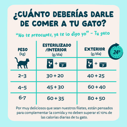 Filetes de atún con gambas para gatos Edgard &amp; Cooper 70 g