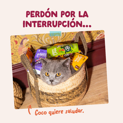 Sobres de comida húmeda Pollo en Salsa para Gatos Adultos | Edgard &amp; Cooper 85 g