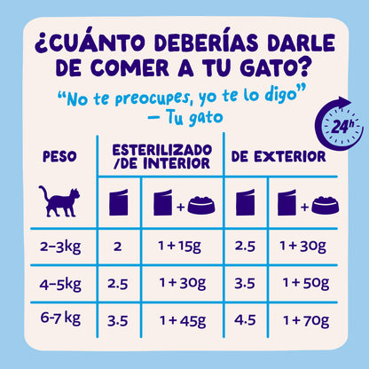 Sobres de comida húmeda para gatos Captura del Día Selección de Pescado en Salsa | Edgard &amp; Cooper 85 g
