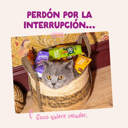 Sobres para gatitos Pato &amp; Pollo en Salsa | Edgard &amp; Cooper 85 g