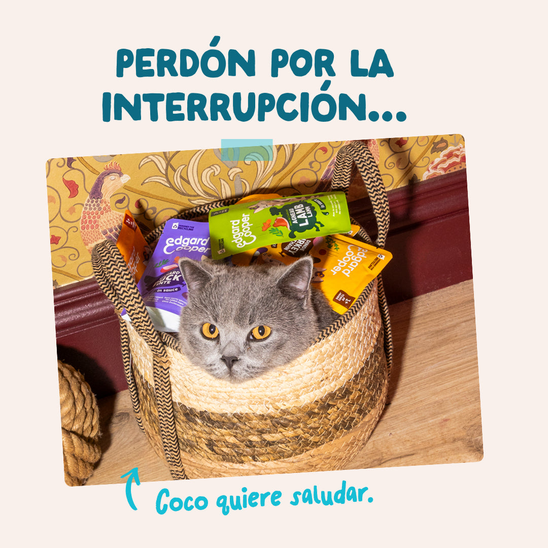 Sobres de comida húmeda Atún & Pollo en Salsa para Gatos Adultos | Edgard & Cooper 85 g
