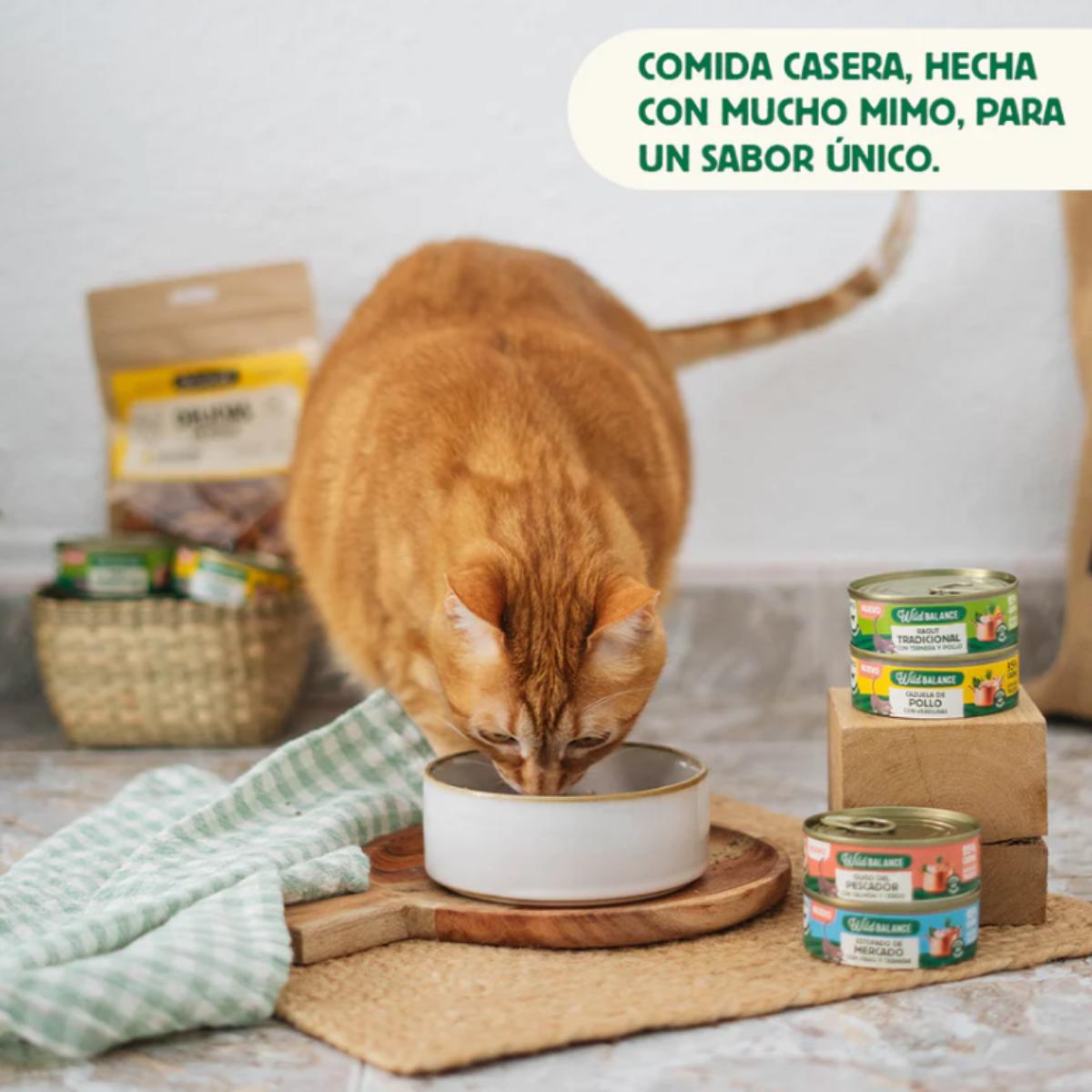 Lata completa Cazuela de Pollo para Gatos Wild Balance 80 g