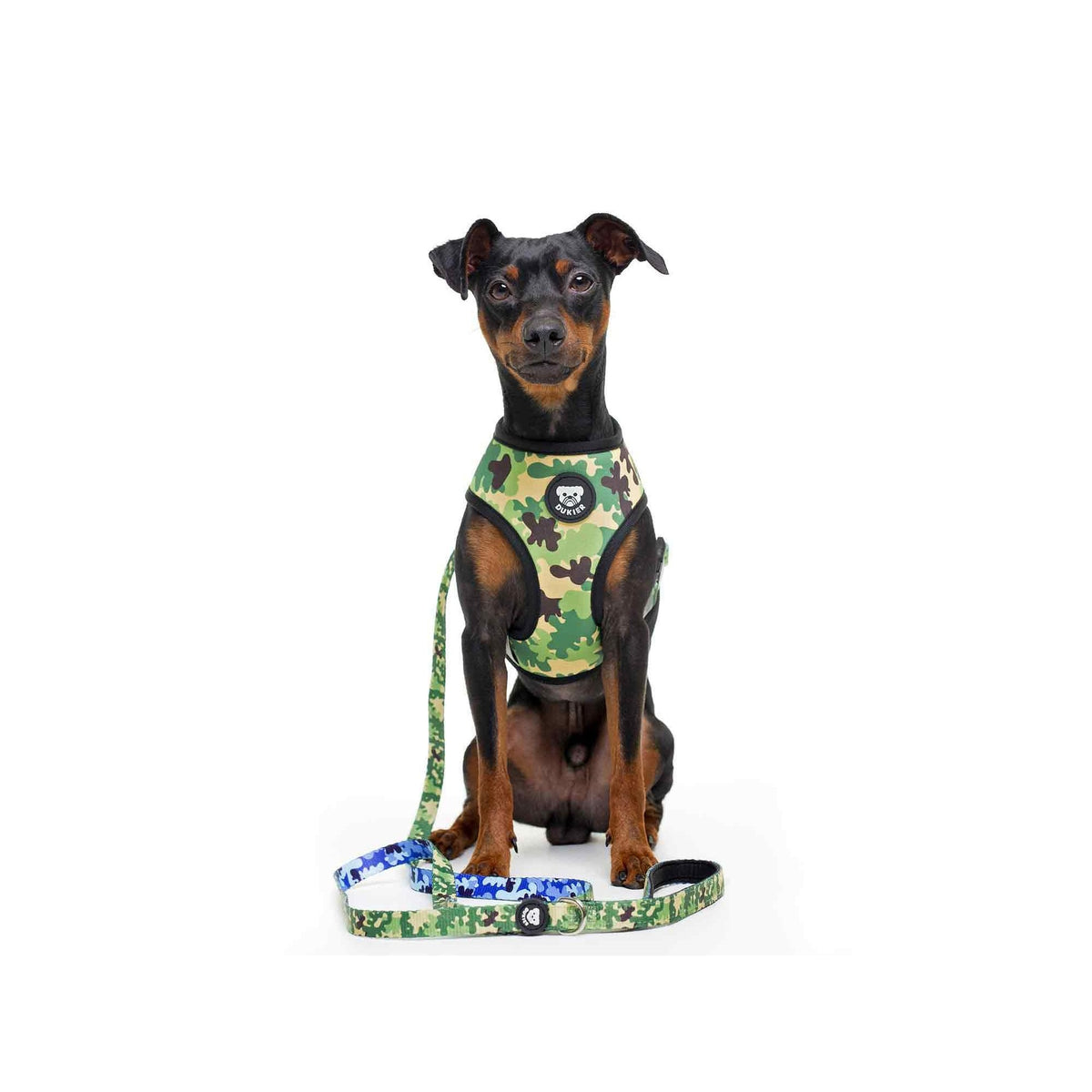 Arnés reversible para perro CAMO Dukier XS