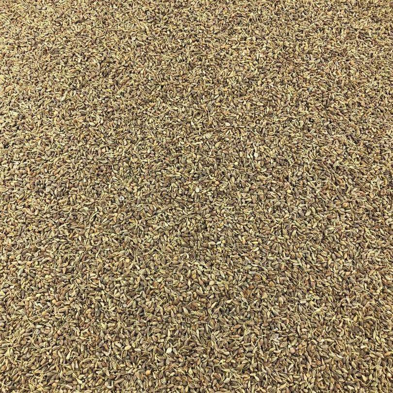 Semillas De Anis Verde Bio Granel 0,25 Kg_0