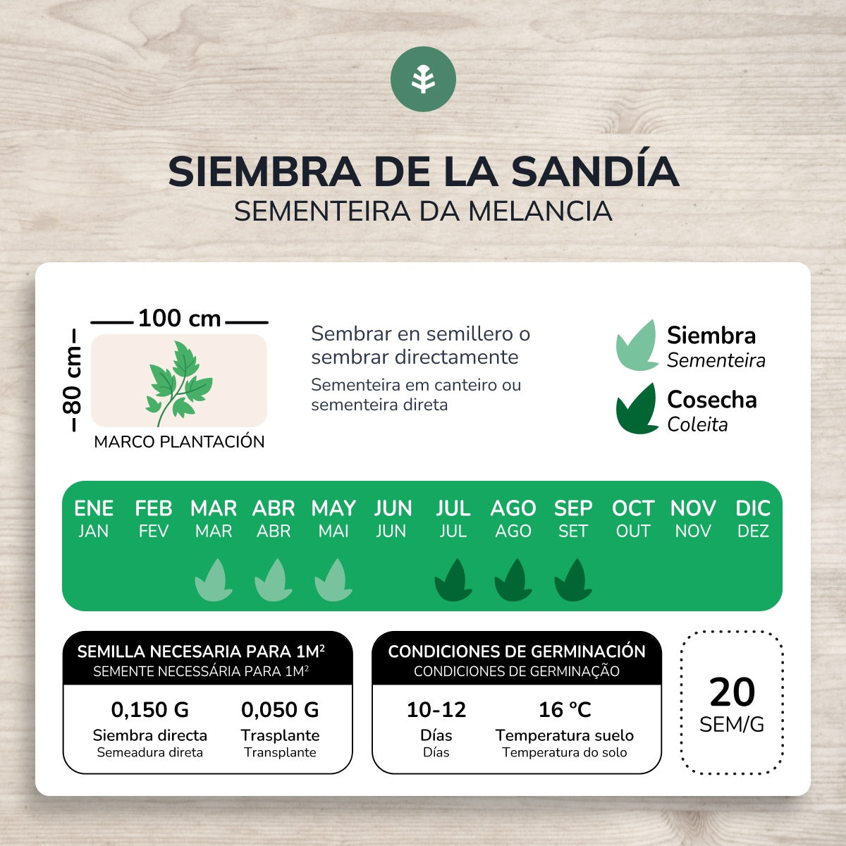 Semillas de Sandía Crimson Sweet ecológicas Planeta Huerto
