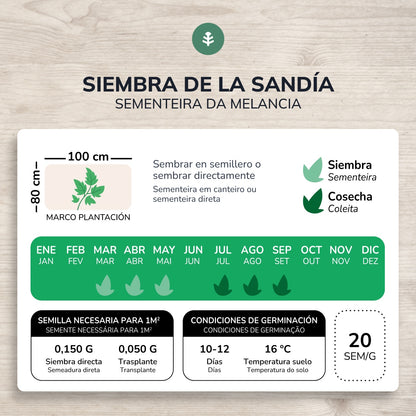 Semillas de Sandía Crimson Sweet ecológicas Planeta Huerto