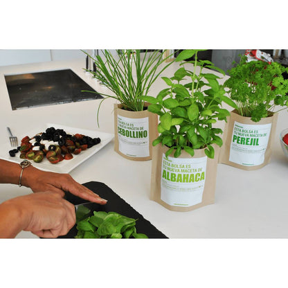 Kit huerto de aromáticas pocket: Albahaca