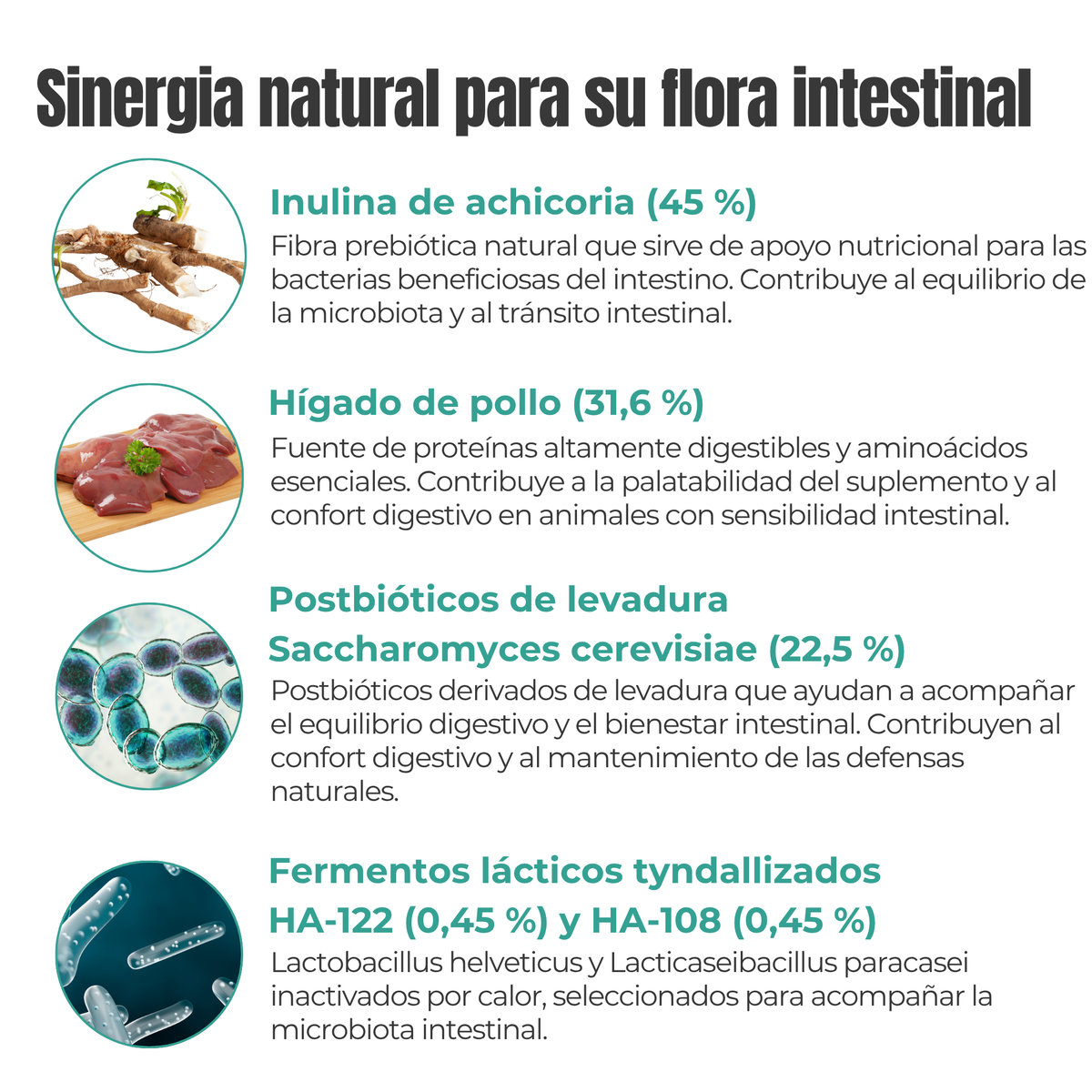 Flora intestinal para perros y gatos – Prebióticos y postbióticos – 100 g_4