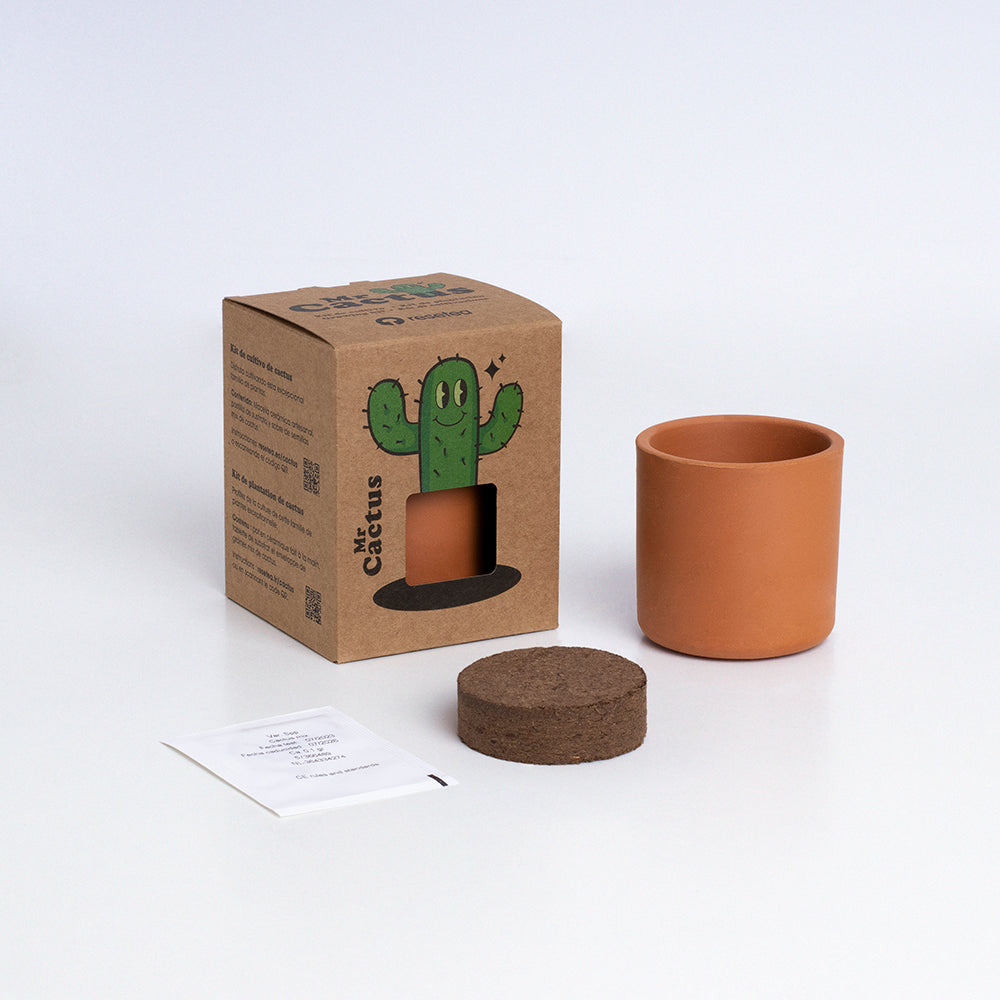 Mr. Cactus Kit de Cultivo de Cactus con Maceta de Barro Artesanal | Regalo Original - Resetea_1