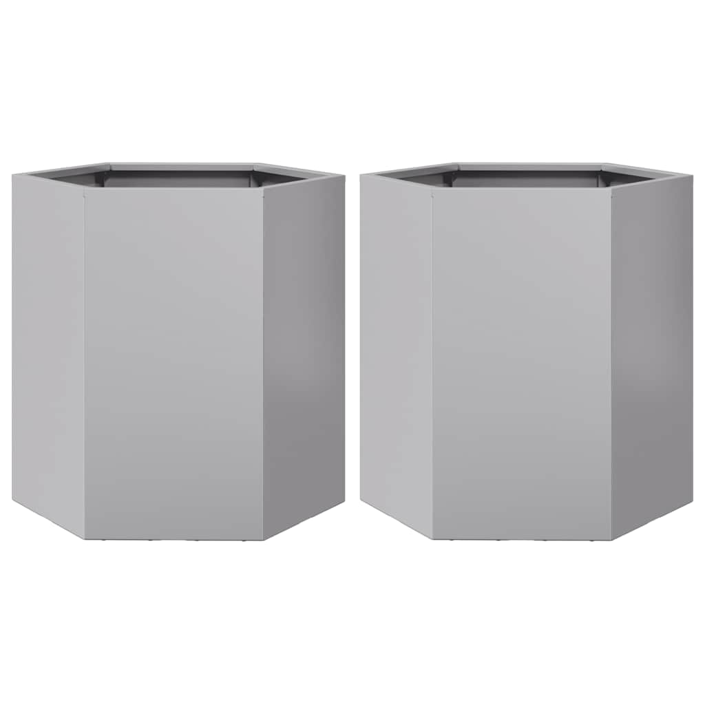 Jardineras Hexagonales 2 Uds Acero Inoxidable 46x40x45 Cm_0