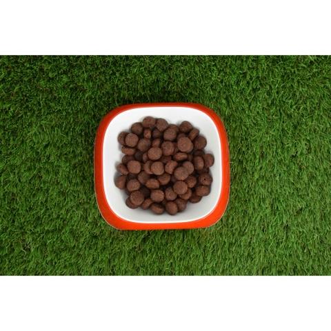 Pienso Natural Grain Free Superpremium Pollo y Pato 2 kg Planeta Huerto