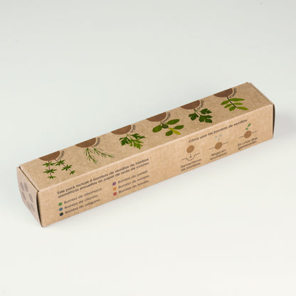 Pack 6 Bombas de Semillas de Hierbas Aromáticas – Huerto Casero de Cocina, Regalo Original - Resetea_3