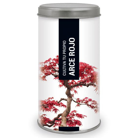 Kit de Regalo para Cultivar tu Arce Rojo en Casa, Garden Pocket