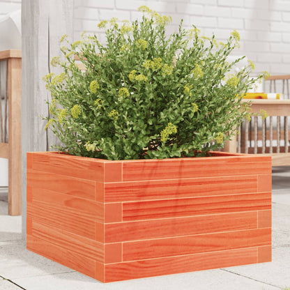 Jardinera De Madera Maciza De Pino Marrón Cera 40x40x23 Cm_1