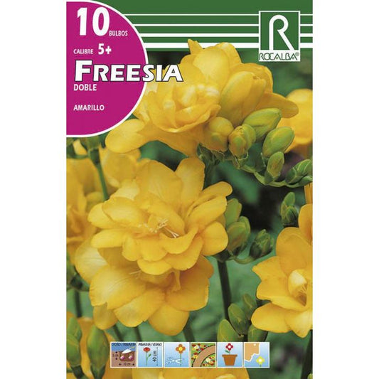 Bulbo Freesia doble amarillo 10 uds Rocalba