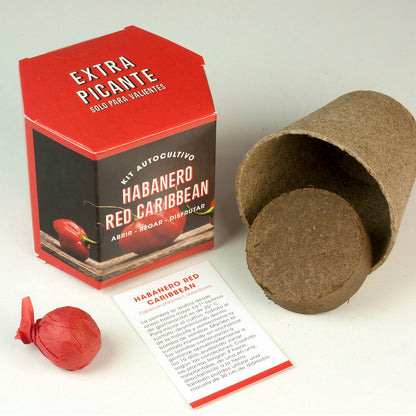Kit Autocultivo Habanero Red Caribbean Pimiento Extra Picante 450.000 SHU - Resetea_1