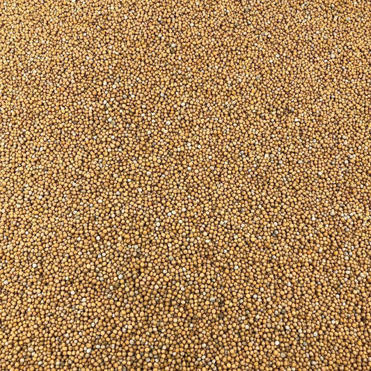 Semillas De Mostaza Amarilla Orgánica A Granel 0,5 Kg_0