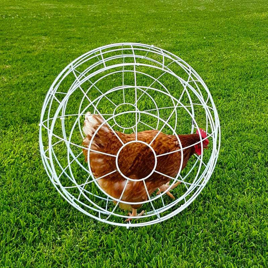 Esfera Para Gallinas Gaun - Ø 55 Cm_0
