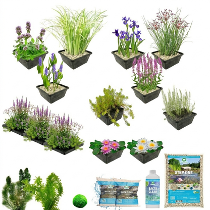 Pack Completo Estanque Multi 1.500-3.000l - Oxigenantes &amp; Ribera - Completo_2