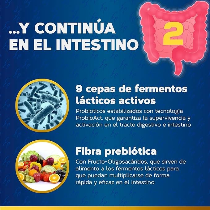 Maxi Enzimas con Probióticos, Tongil, 80 cápsulas vegetales