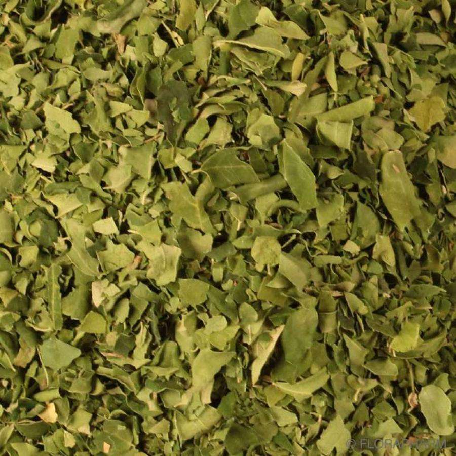 Hojas De Moringa Orgánica Granel 1 Kg_0