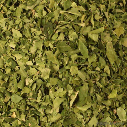 Hojas De Moringa Orgánica Granel 1 Kg_0