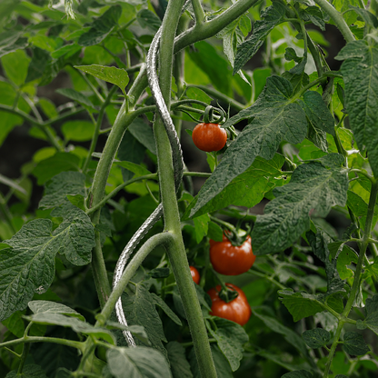 Tutor Tomate Spiral 1,80 M Nortene_3
