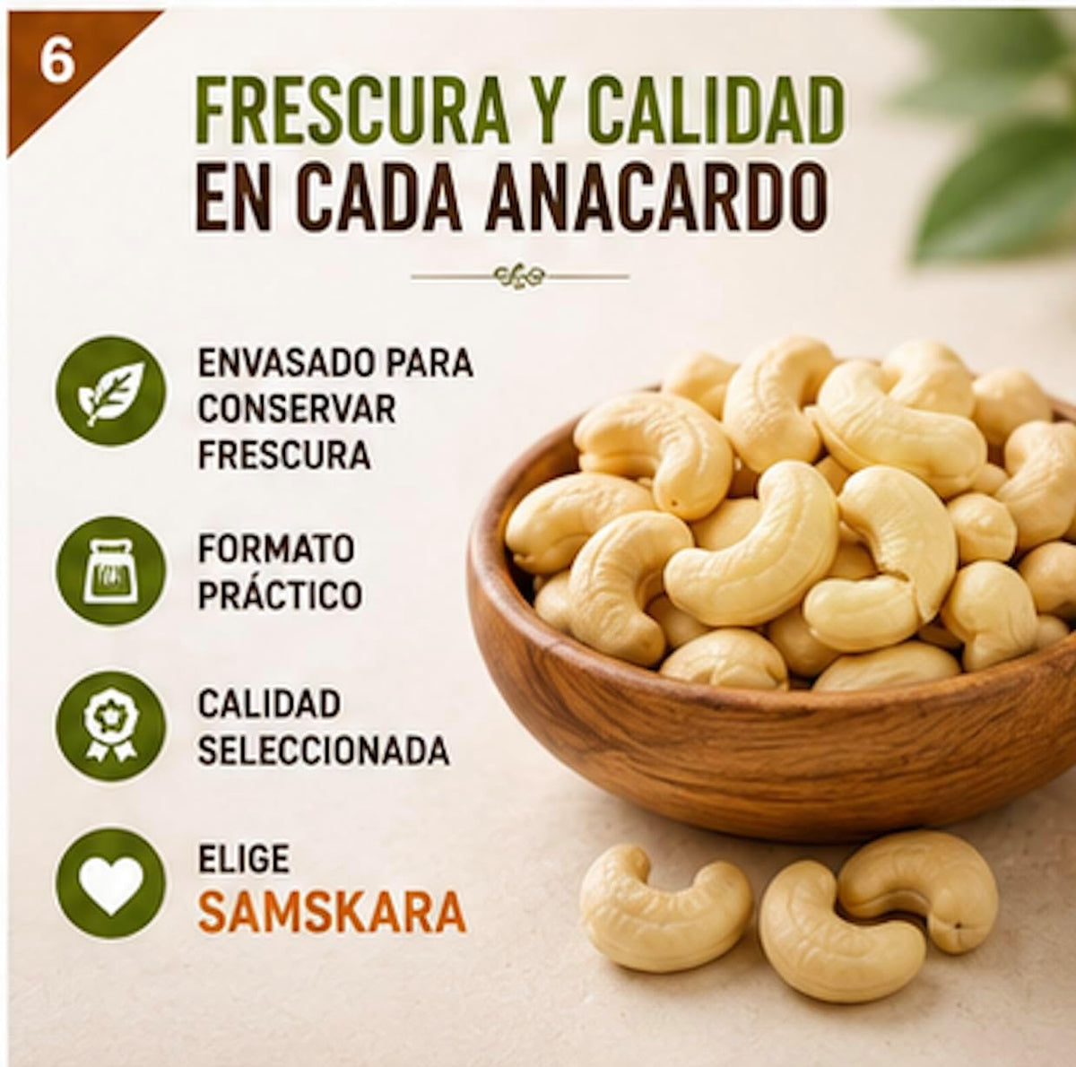 Anacardos Crudos Jumbo Premium - Envasados Al Vacío - Pack 2 X 800g (2 Envases Retail) | Fruto Seco Ecológico Premium_2