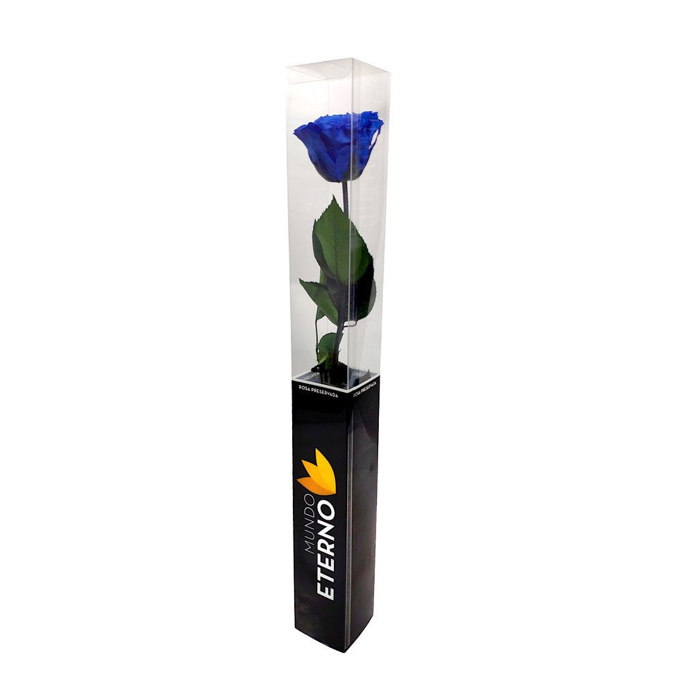 Mundo Eterno Rosa Preservada Azul Oscuro 55cm_1