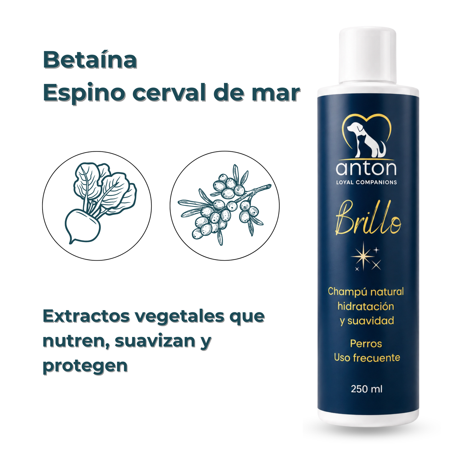 Champú natural para el cuidado del pelaje de perros – Pack 2 x 250 ml_3