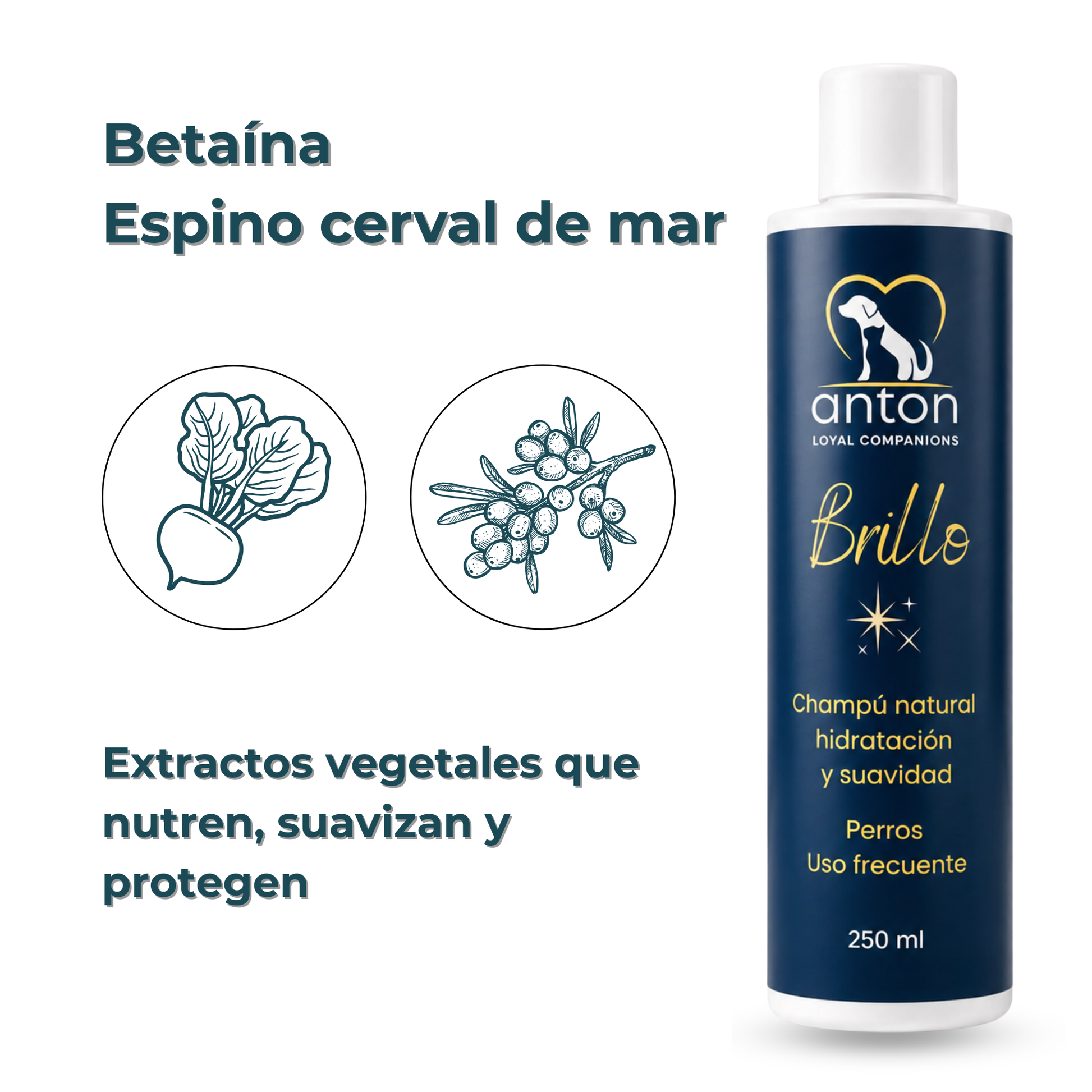 Champú natural para el cuidado del pelaje de perros – Pack 2 x 250 ml_3
