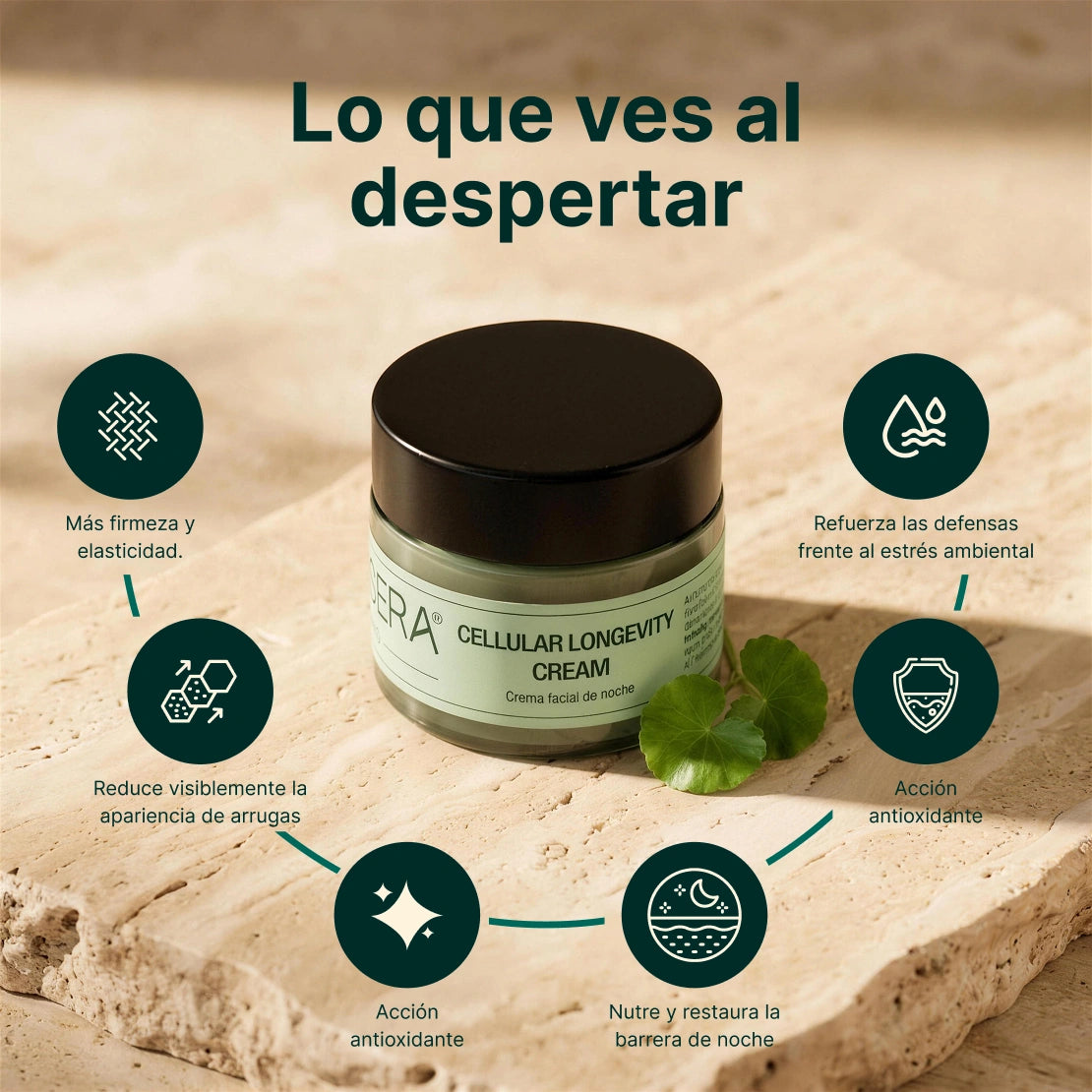 Crema Facial - Cellular Longevity Cream 50 Ml Synsera Labs_2