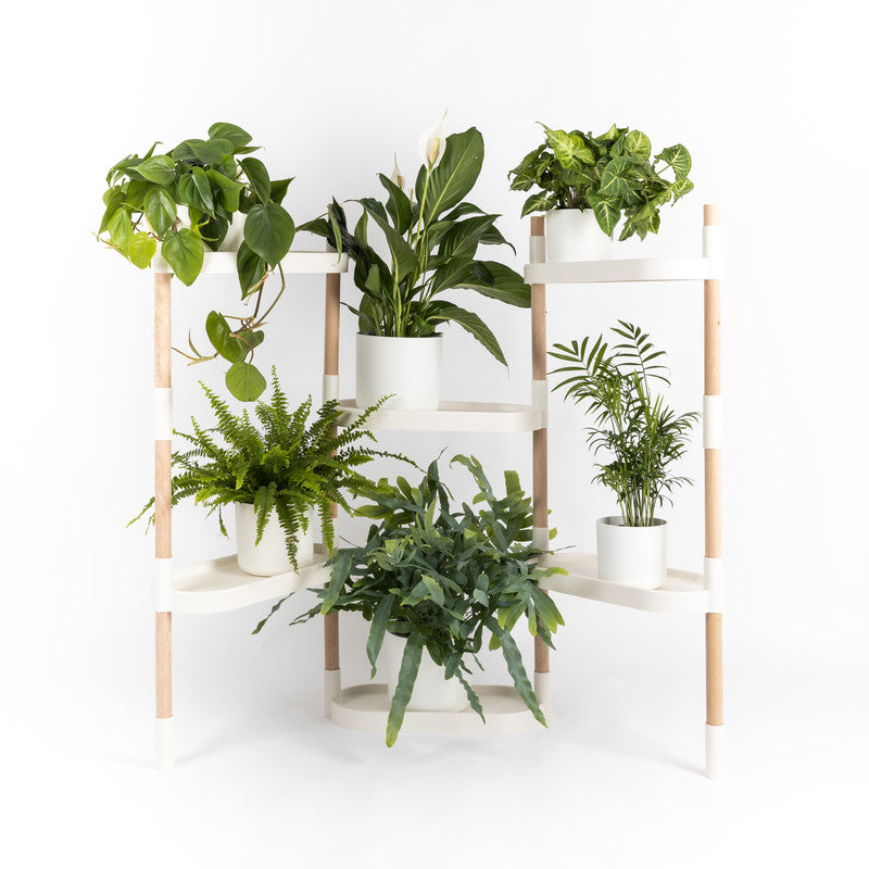 Soporte Modular Citysens De 6 Bandejas – Blanco, Polipropileno 100% Reciclado Y Madera Ecológica Pefc_0