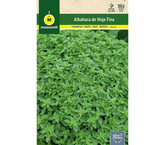 Semillas Albahaca Hoja Fina_0