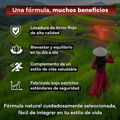Levadura de Arroz Rojo con Monacolina K y CoQ10 Sevens Nutrition 400 cápsulas