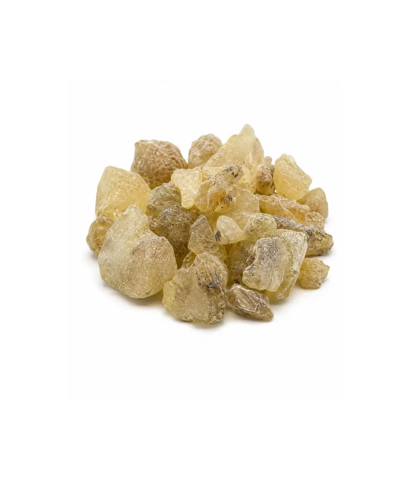 Salvia - Resina Copal Blanco, Granel | 50g_1