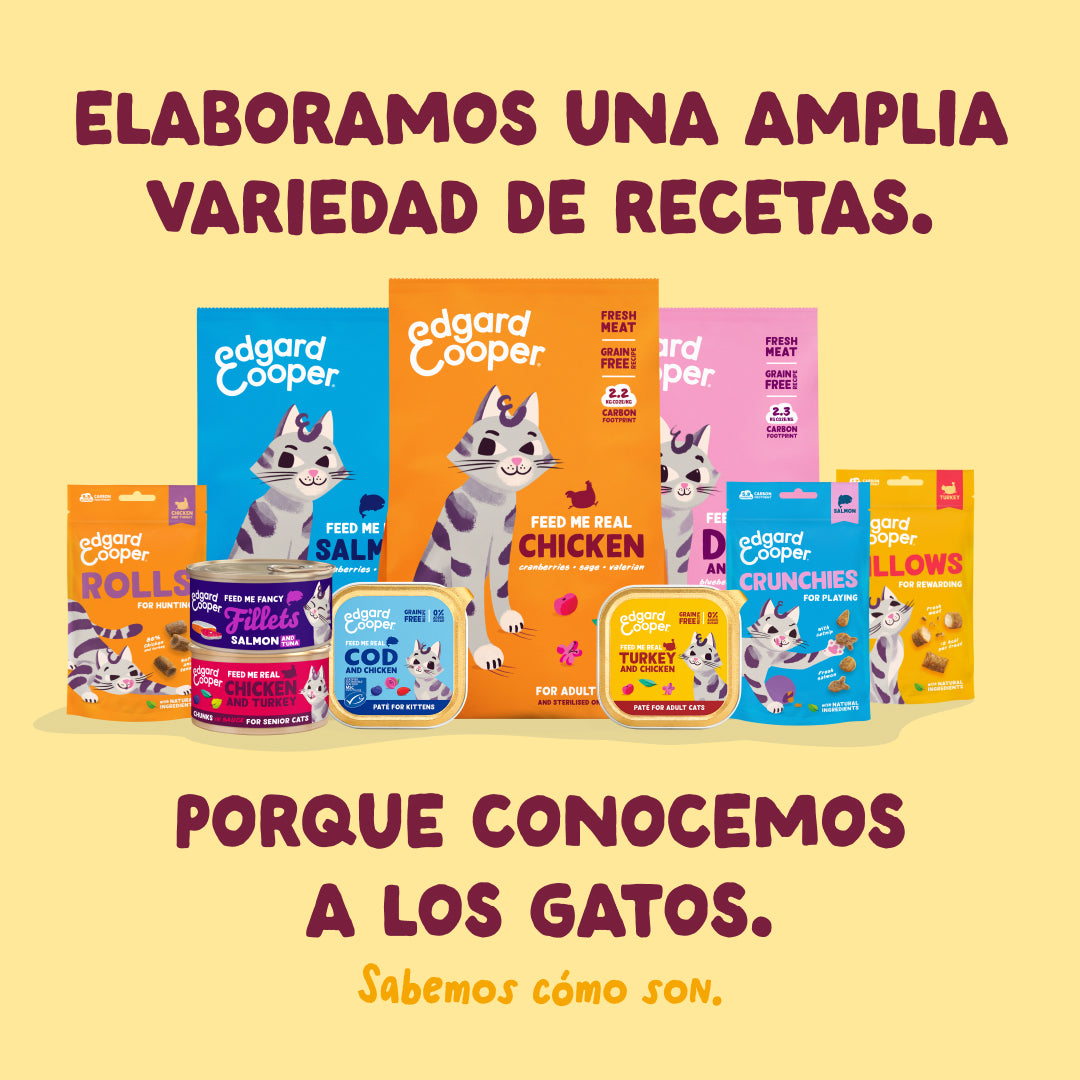 Filetes de pollo con pavo para gatos Edgard & Cooper 70 g