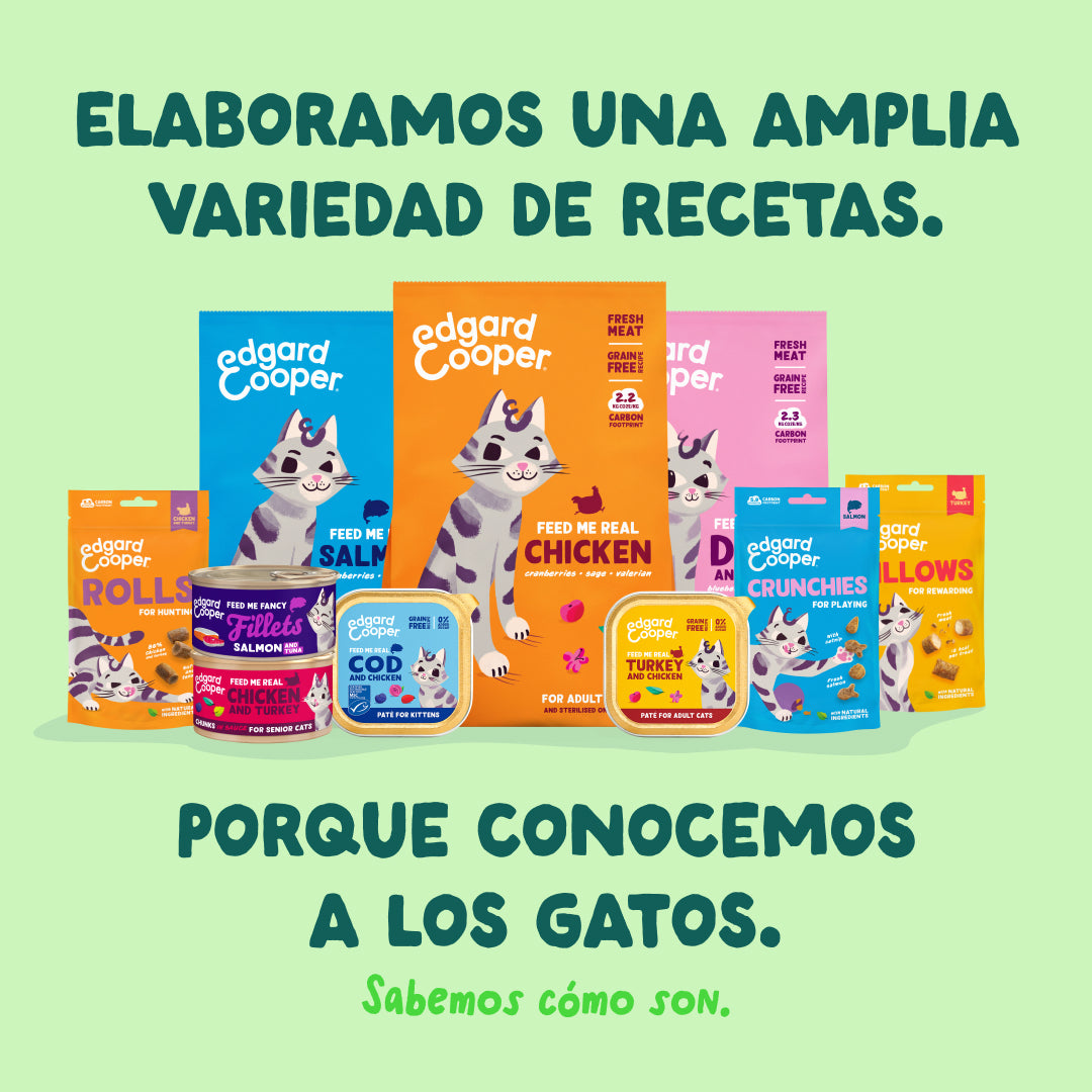 Filetes de salmón y caballa para gatos Edgard & Cooper 70 g