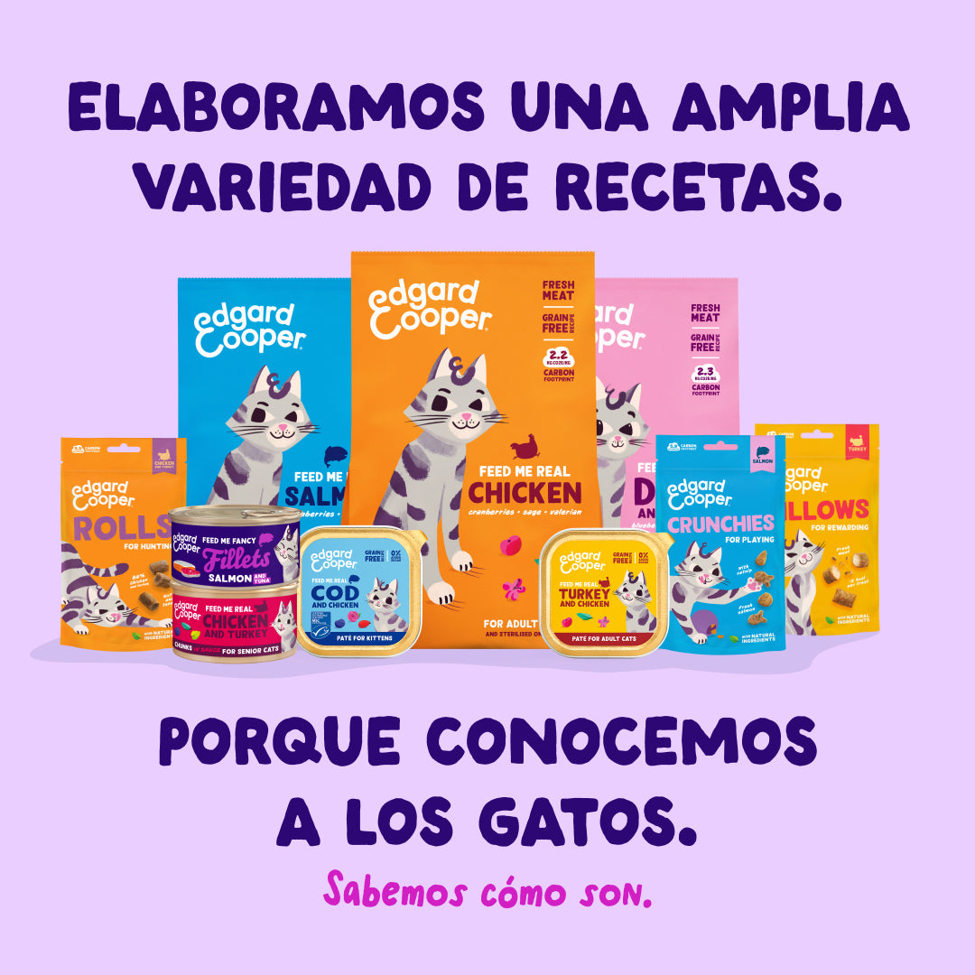 Filetes de salmón y atún para gatos Edgard & Cooper 70 g
