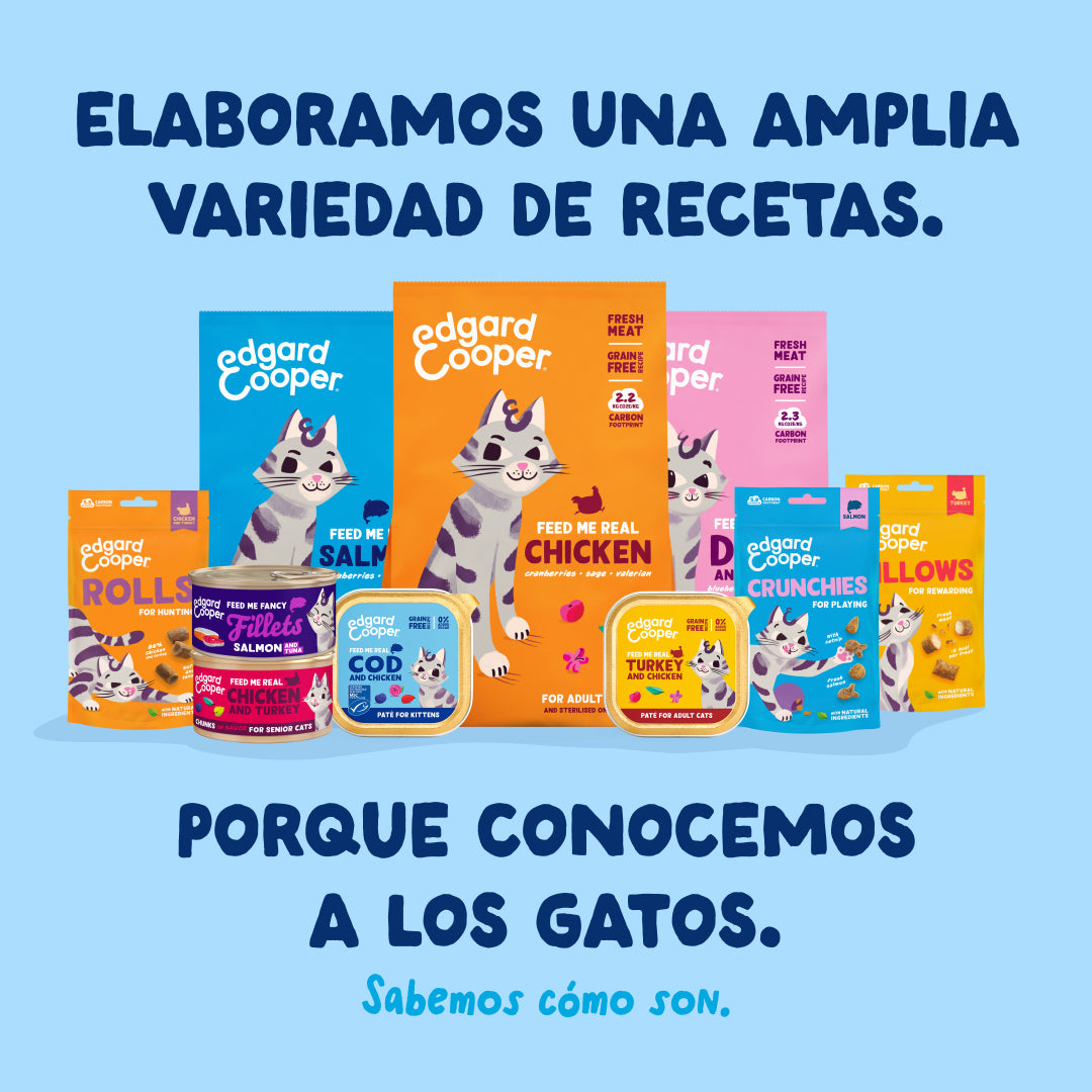 Filetes de atún para gatos Edgard & Cooper 70 g