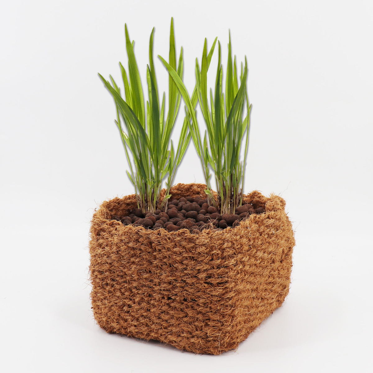 9 Cesta Para Plantas De Coco 20 X 20 X 15 Cm Cesta Para Estanque Para Estera De Banco Y Estera De Terraplén_2