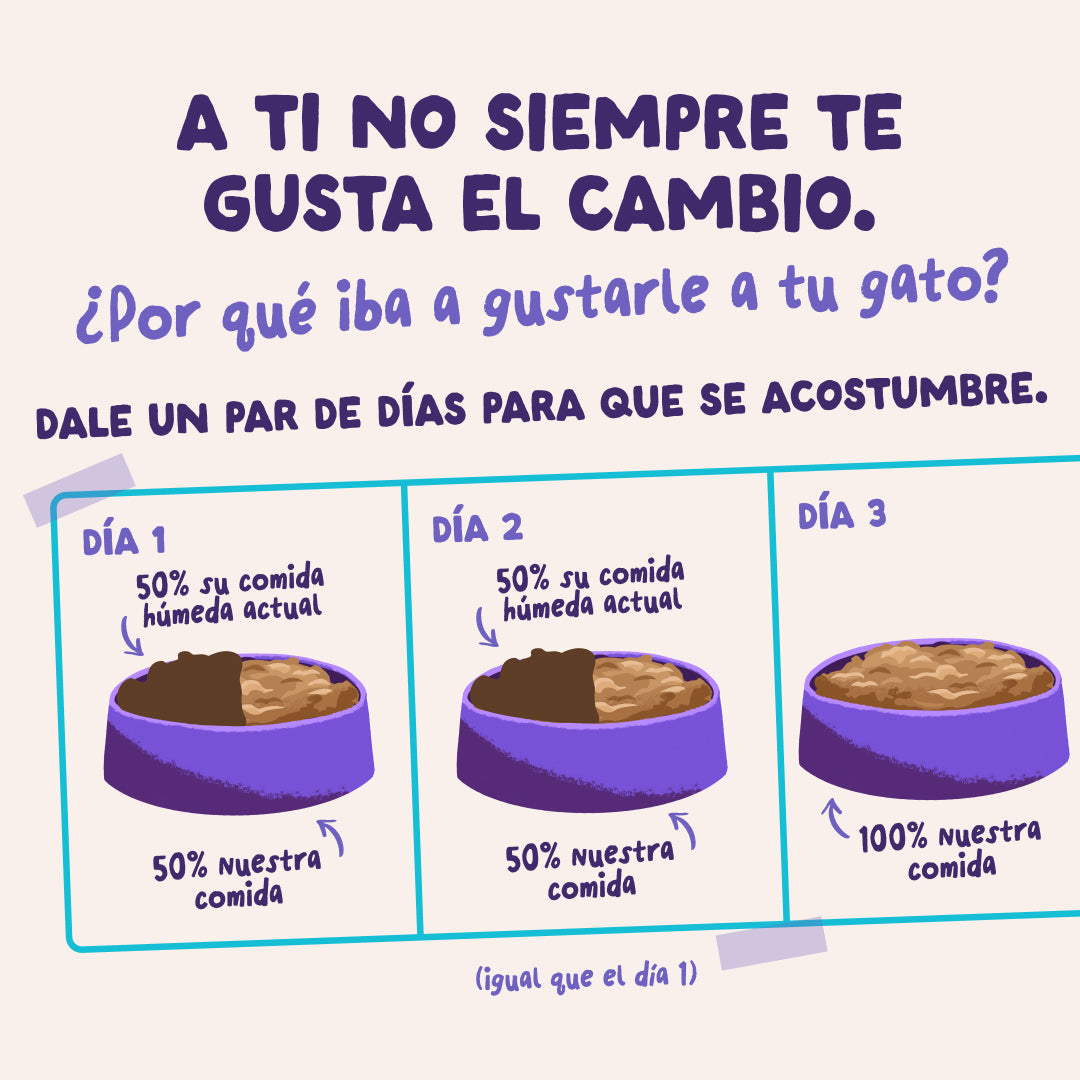 Sobres de comida húmeda Pato & Pavo en Salsa para Gatos Adultos | Edgard & Cooper 85 g