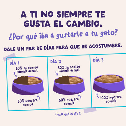 Sobres de comida húmeda Pato &amp; Pavo en Salsa para Gatos Adultos | Edgard &amp; Cooper 85 g