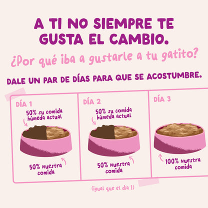 Sobres para gatitos Pato &amp; Pollo en Salsa | Edgard &amp; Cooper 85 g